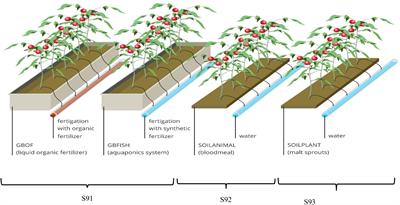 In-Depth Observation on the Microbial and Fungal Community Structure of Four Contrasting Tomato Cultivation Systems in Soil Based and Soilless Culture Systems